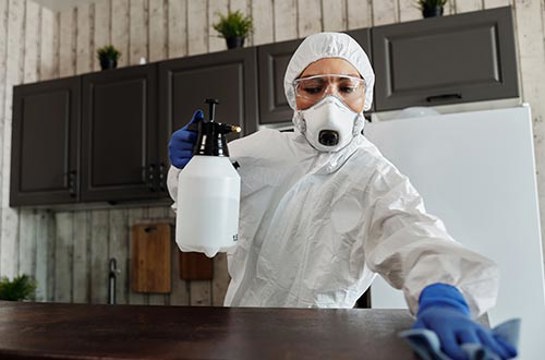 Portfolio Stock Cleaner