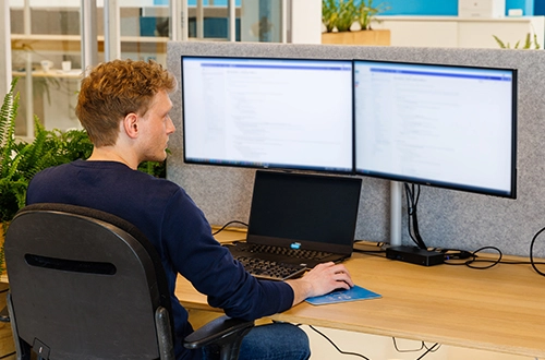 Silicon Low Code ontwikkeling maatwerk software