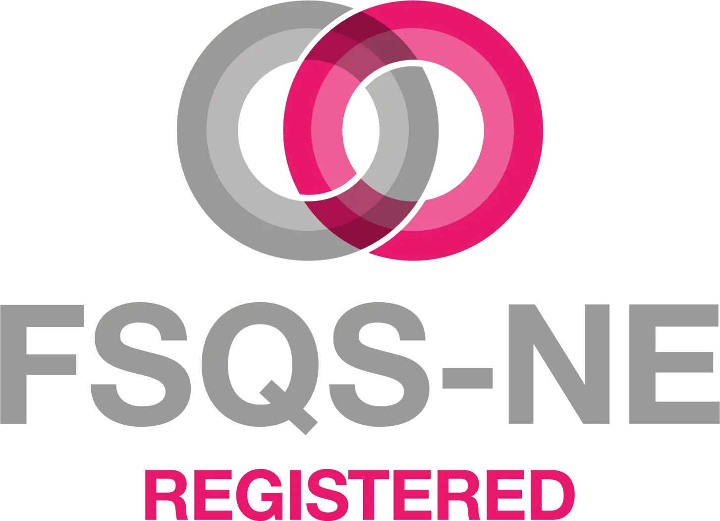 FSQS-NE gekwalificeerde software ontwikkelaar